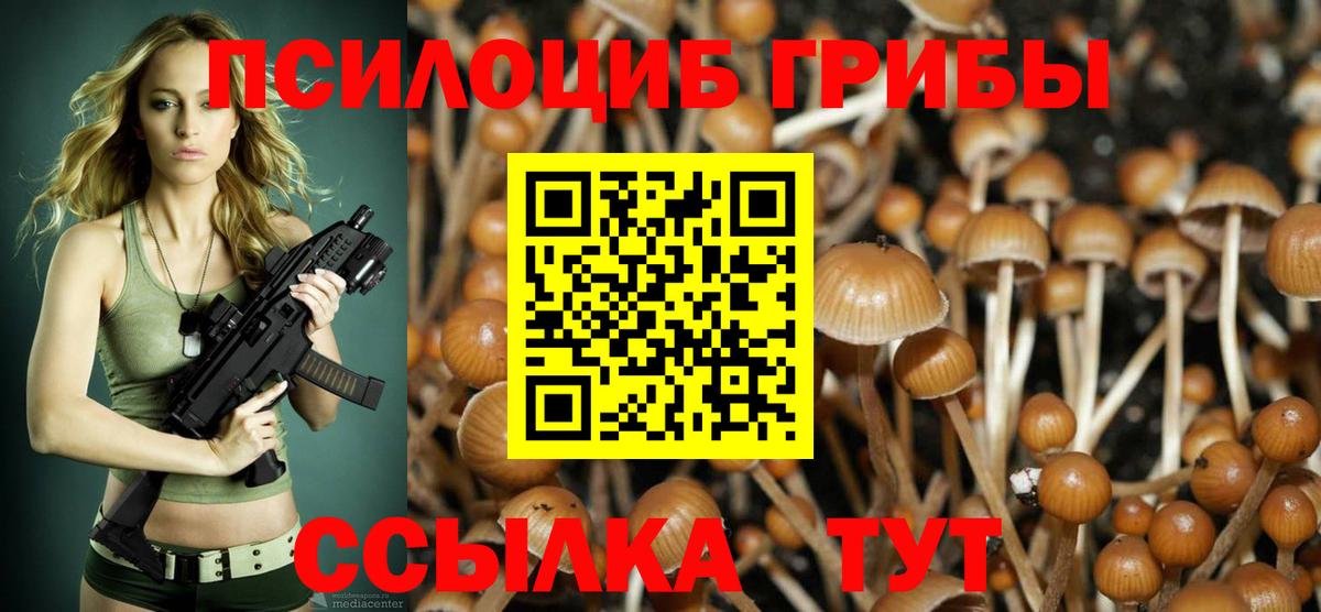 Южноуральск  Галлюциногенные грибы Magic Shrooms  Вход с VPN  Псилоцибиновые грибы Magic Shrooms 