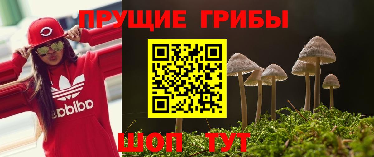 Галлюциногенные грибы Cubensis Южноуральск